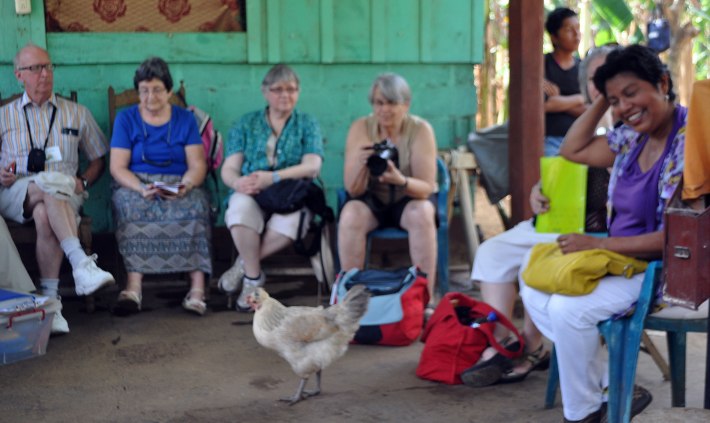 A chicken decided to crash our briefing from the Masaya women's co-op.