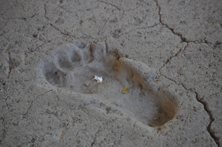 6,000 year-old footprint.